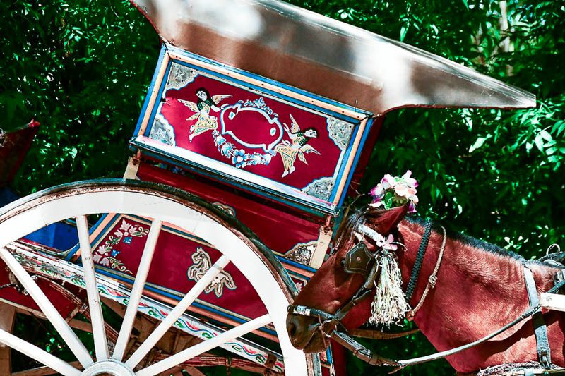 Cart and horse - India-2-1599