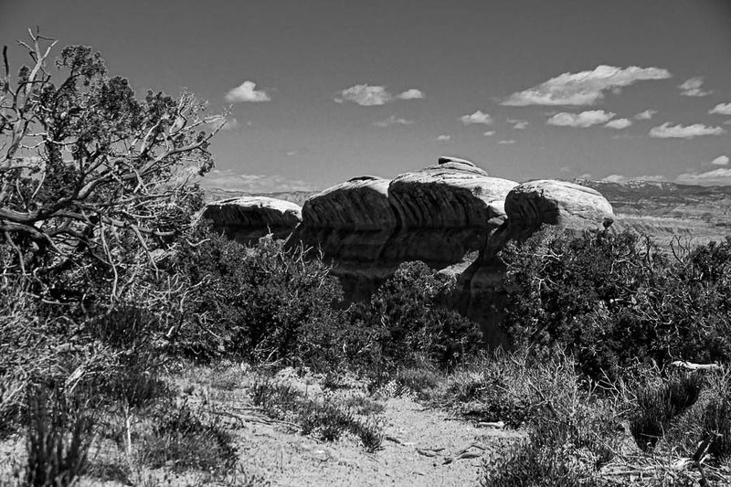 Utah19-2-0847bw