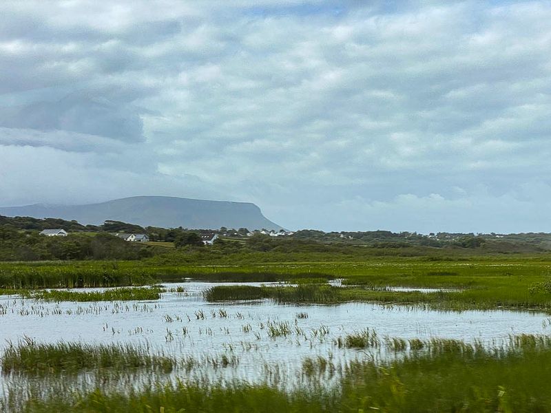 06-12 Marsh i0720