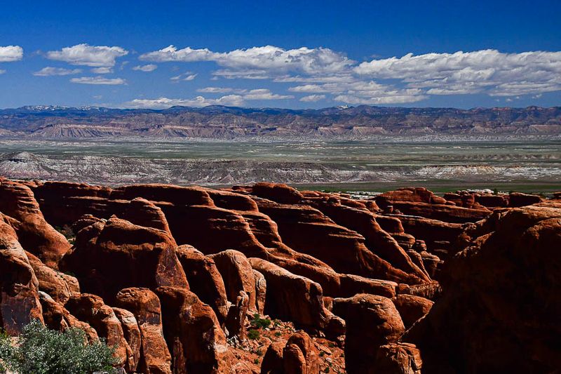 Utah19-2-0874