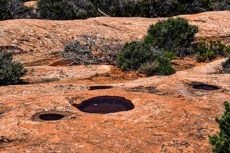 Desert potholes - Utah19-2-0878