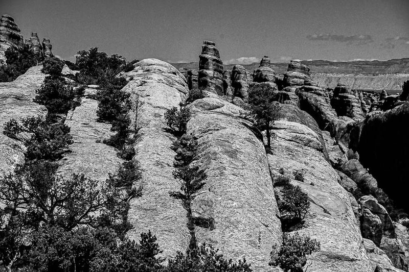 Utah19-2-0885bw