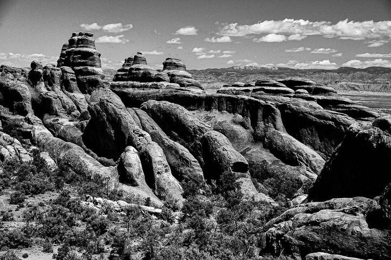 Utah19-2-0921-2bw