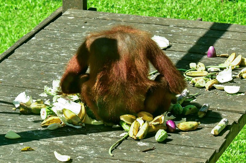 08 24 Engrossed in lunch 3812