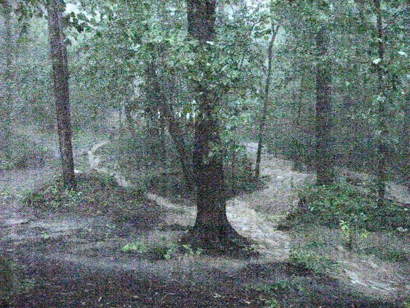 13 August 2001 - Late summer rain in the backyard - 1068