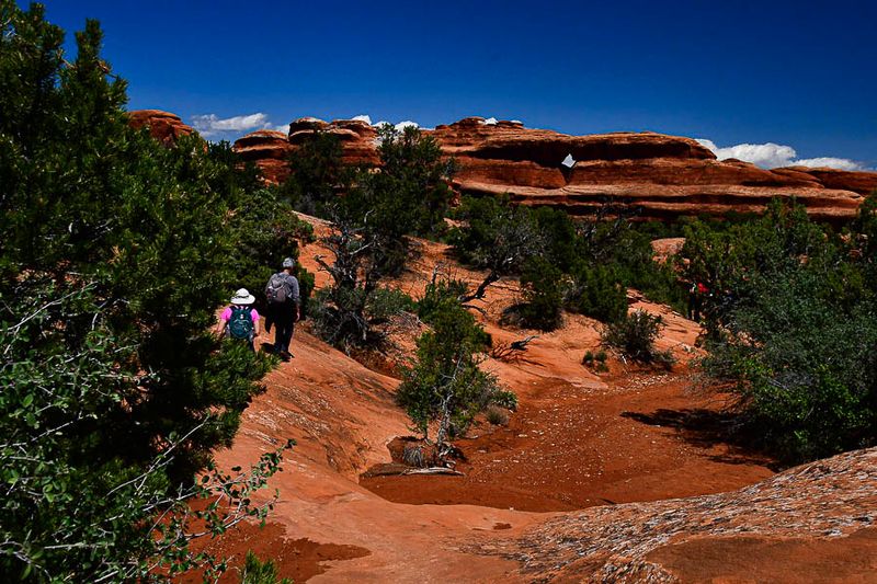 Evidence of desert rains - Utah19-2-0974