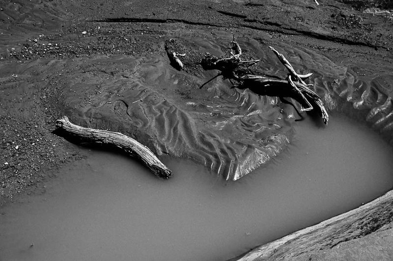 After desert rain - Utah19-2-0975-2bw