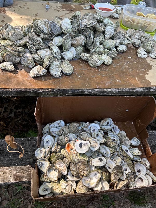 2024 04 13 Oyster roast for a friend's birthday i5008