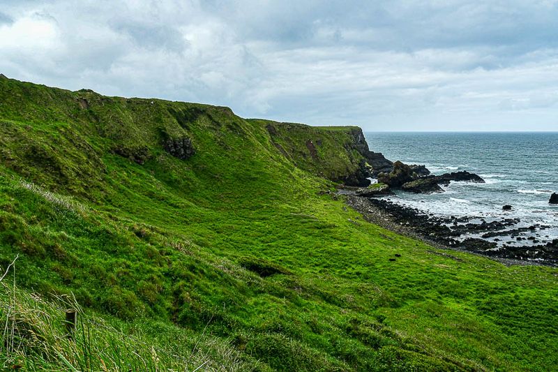 06 13 Giant's Causeway coast - 5031