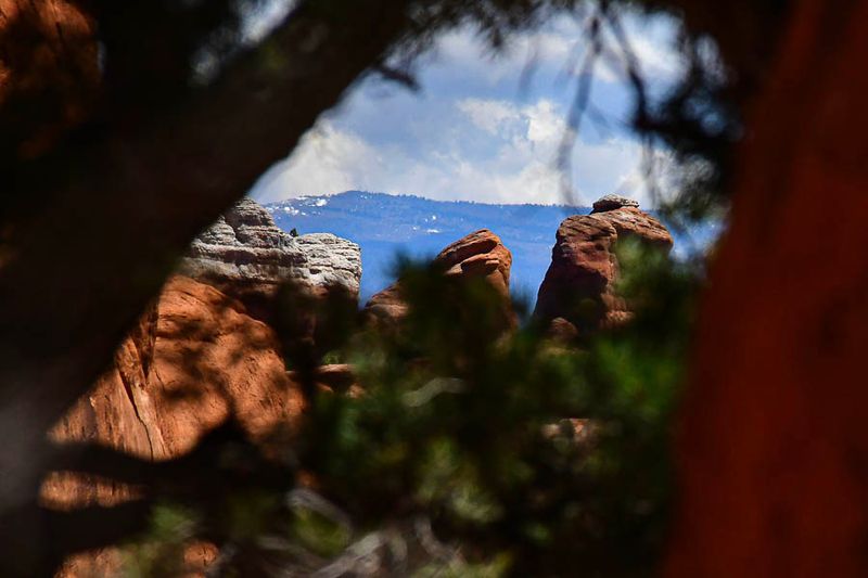 Long view - Utah19-2-0993