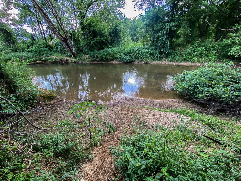 06 29 Brasstown Creek i1488