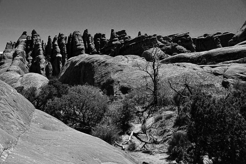 Utah19-2-1004-2bw