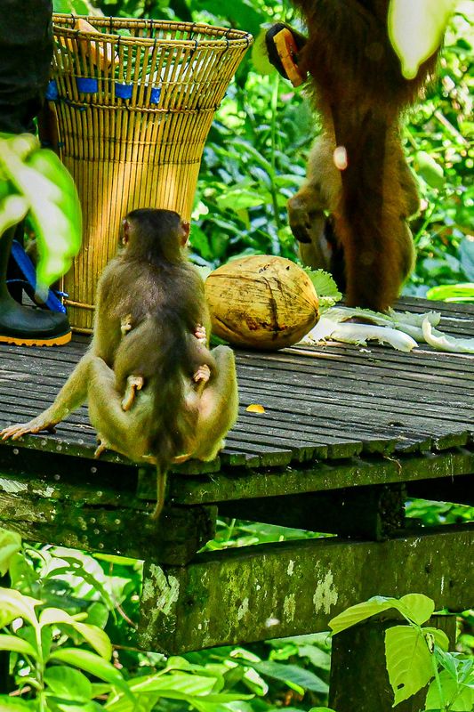 08 24 Mother and infant waiting out lunch 3882