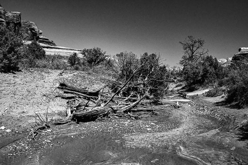 Utah19-2-1023-2bw