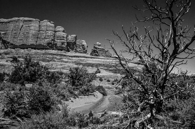 Utah19-2-1026-2bw