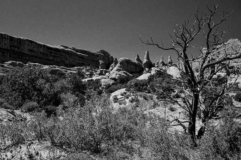 Utah19-2-1027-2bw