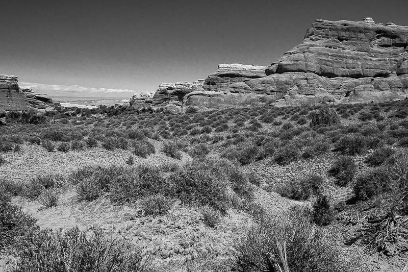 Utah19-2-1029-2bw