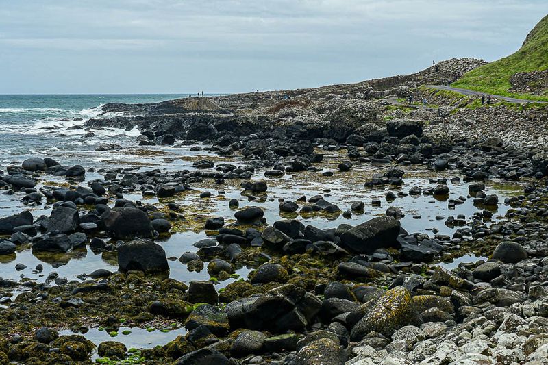 06 13 At Giant's Causeway - 5074