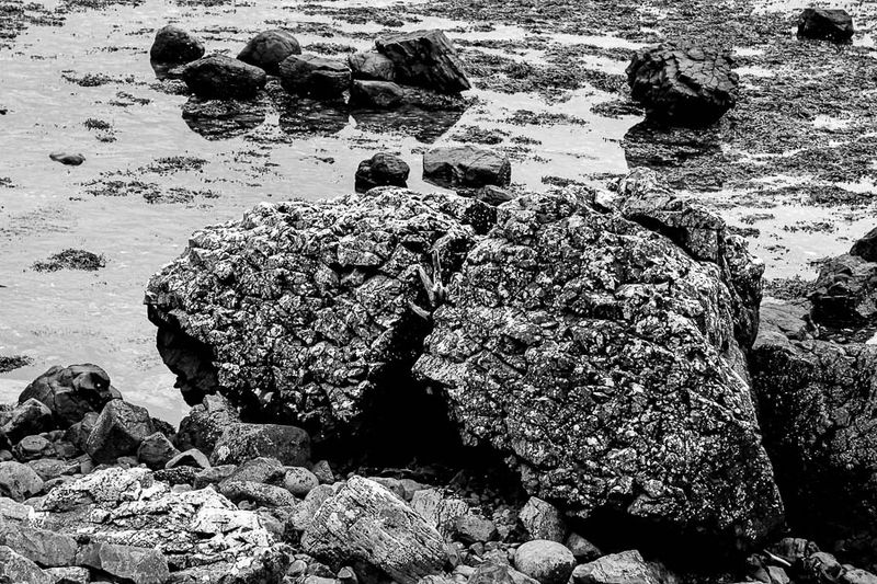 06 13 At Giant's Causeway - 5076-2bw