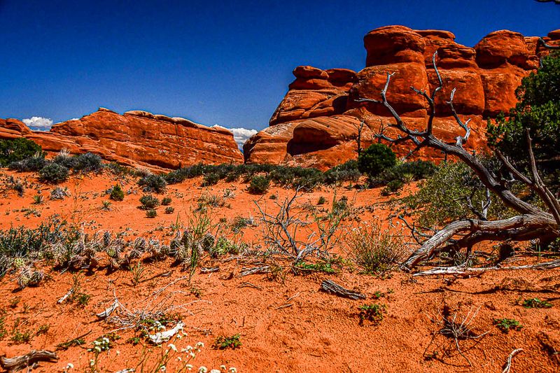 05 02 Utah19-2-1040