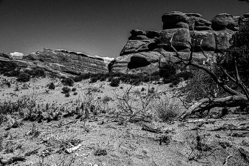 Utah19-2-1040-2.bw