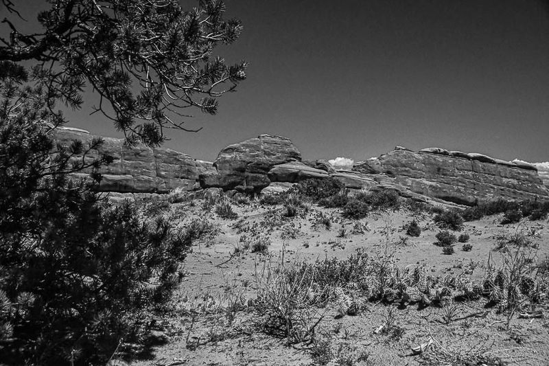 Utah19-2-1041-2bw