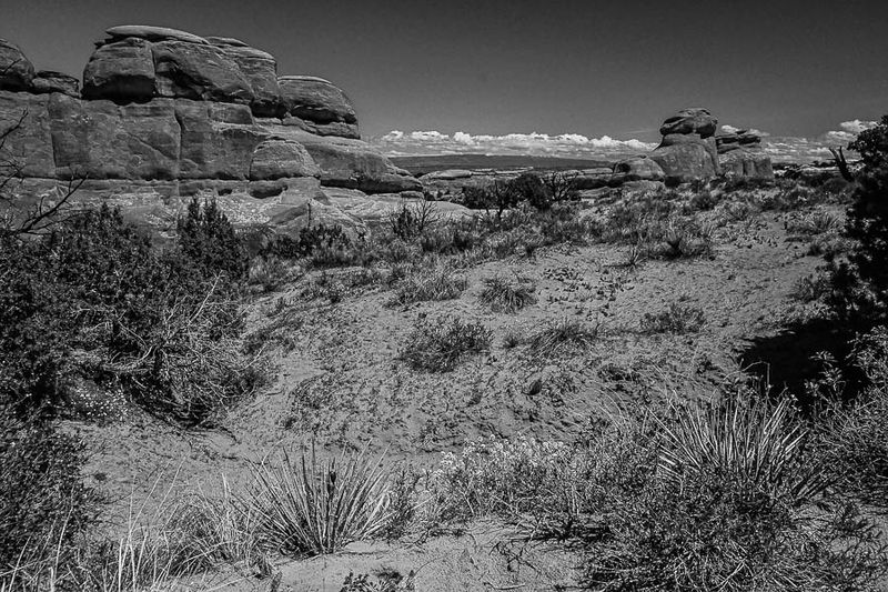 Utah19-2-1043-2bw