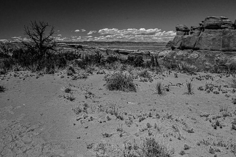 Utah19-2-1044-2bw