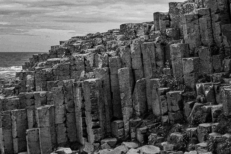 06 13 Basalt columns at Giant's Causeway 5091-2bw