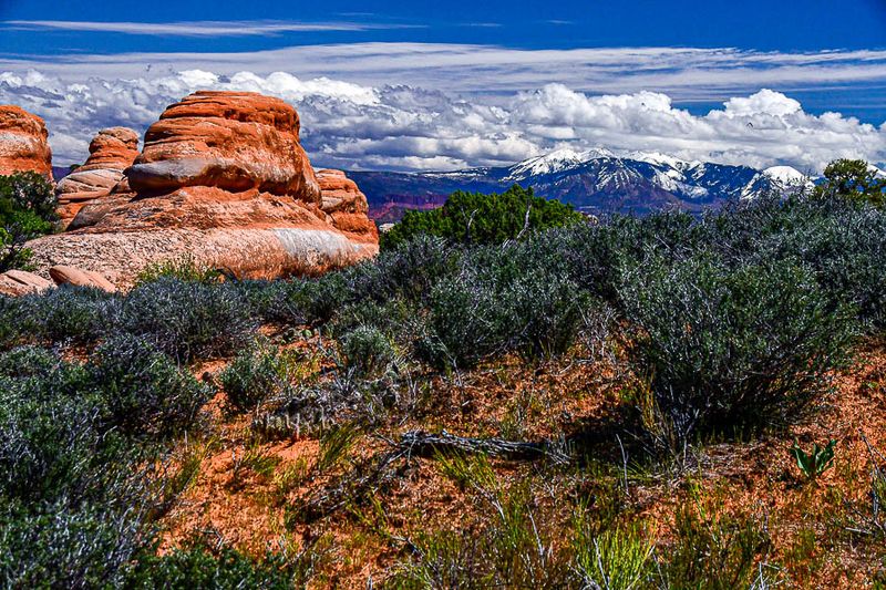 Utah19-2-1059