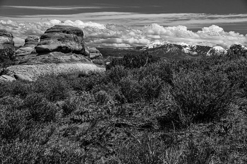 Utah19-2-1059-2bw