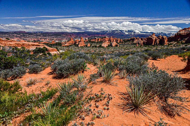 The landscape Utah19-2-1063