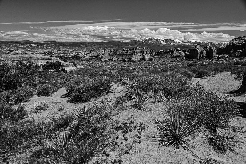 The landscape Utah19-2-1063-2bw
