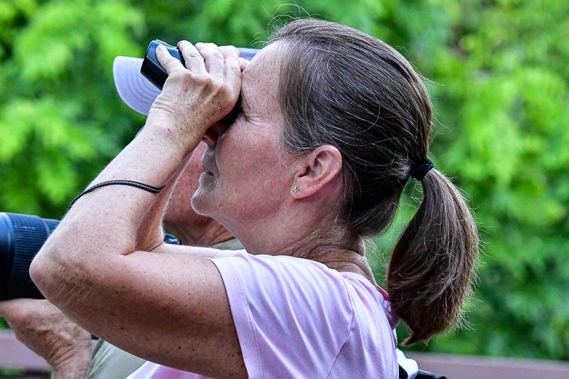 08 25 Paula scoping birds 4091