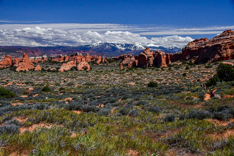 Utah19-2-1066