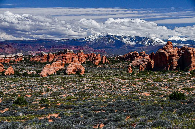 Utah19-2-1067