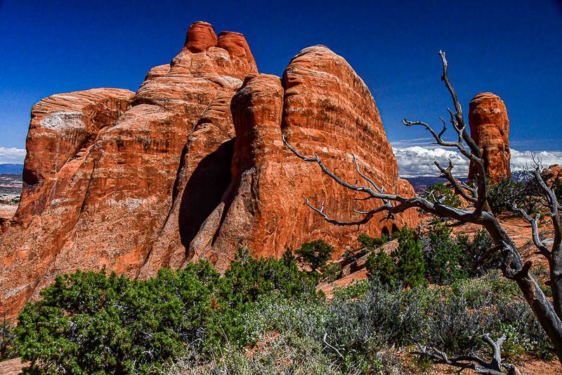 Utah19-2-1089