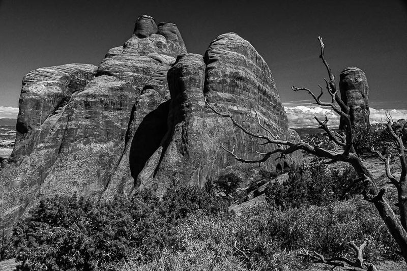 Utah19-2-1089-2bw