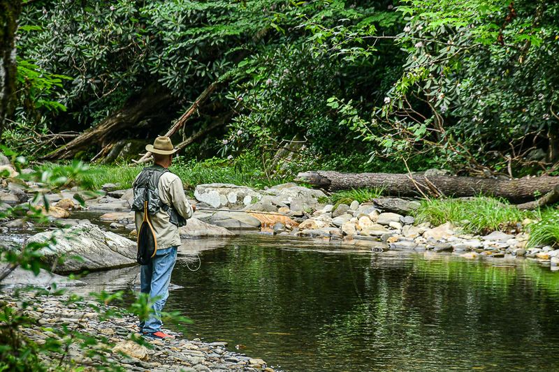 07 01 Fly fisherman 5978