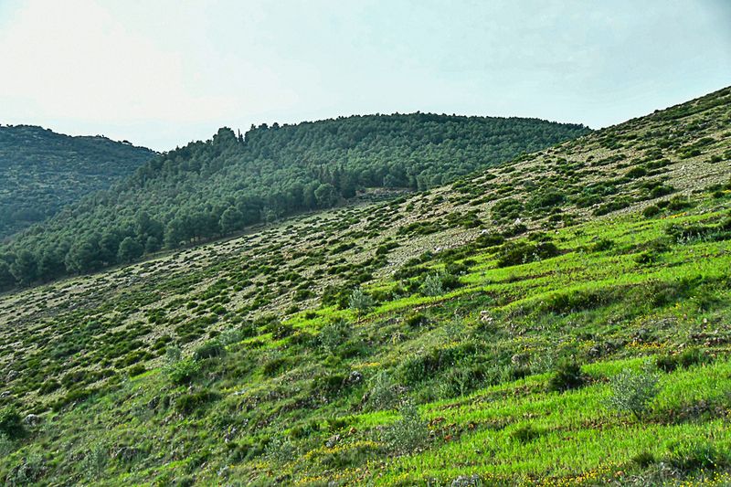 Rolling landscape Moroc-3629
