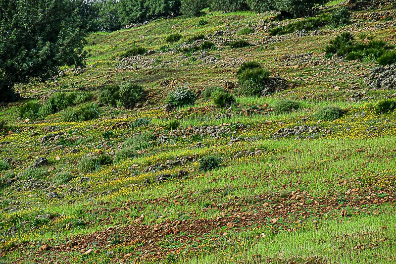 Old landscape Moroc-3631
