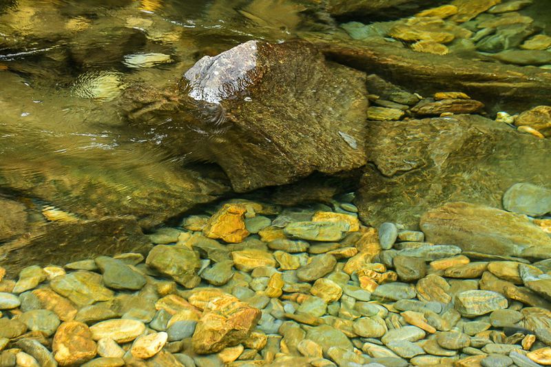2022 07 01 Clear waters 5982