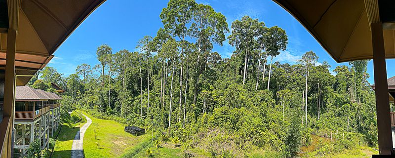 08 26 Jungle behind our lodging i0502