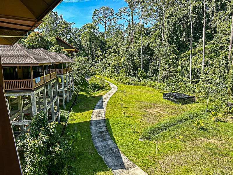 08 26 Jungle behind our lodging i0494