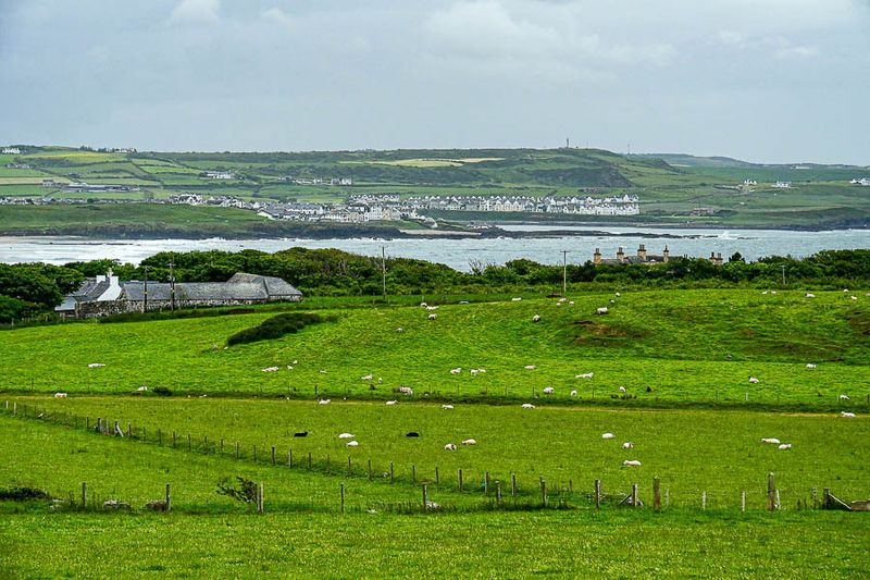 06 13 Countryside surrounding the Giant's Causeway 5122