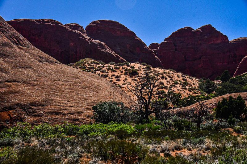 Utah19-2-1103