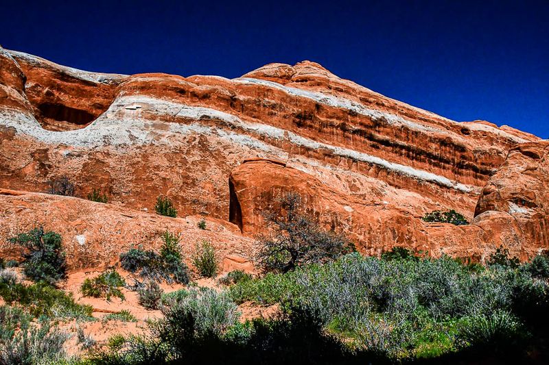 Utah19-2-1105
