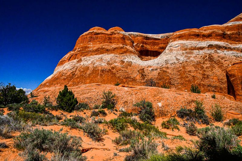 Utah19-2-1106
