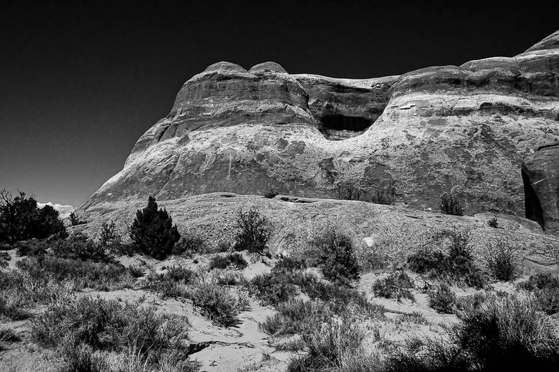 Utah19-2-1106-2bw