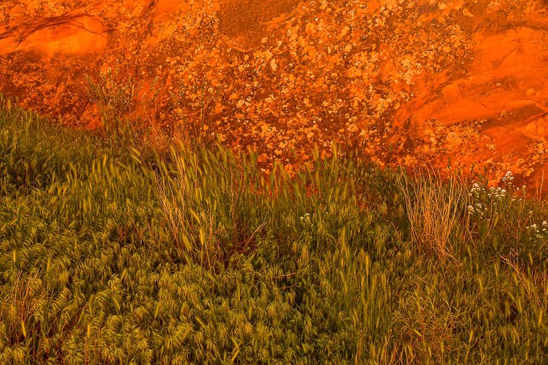 Utah19-2-1110